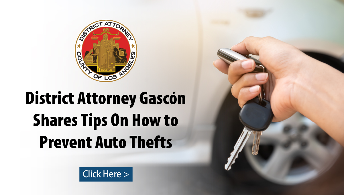 Link to auto theft prevention English video