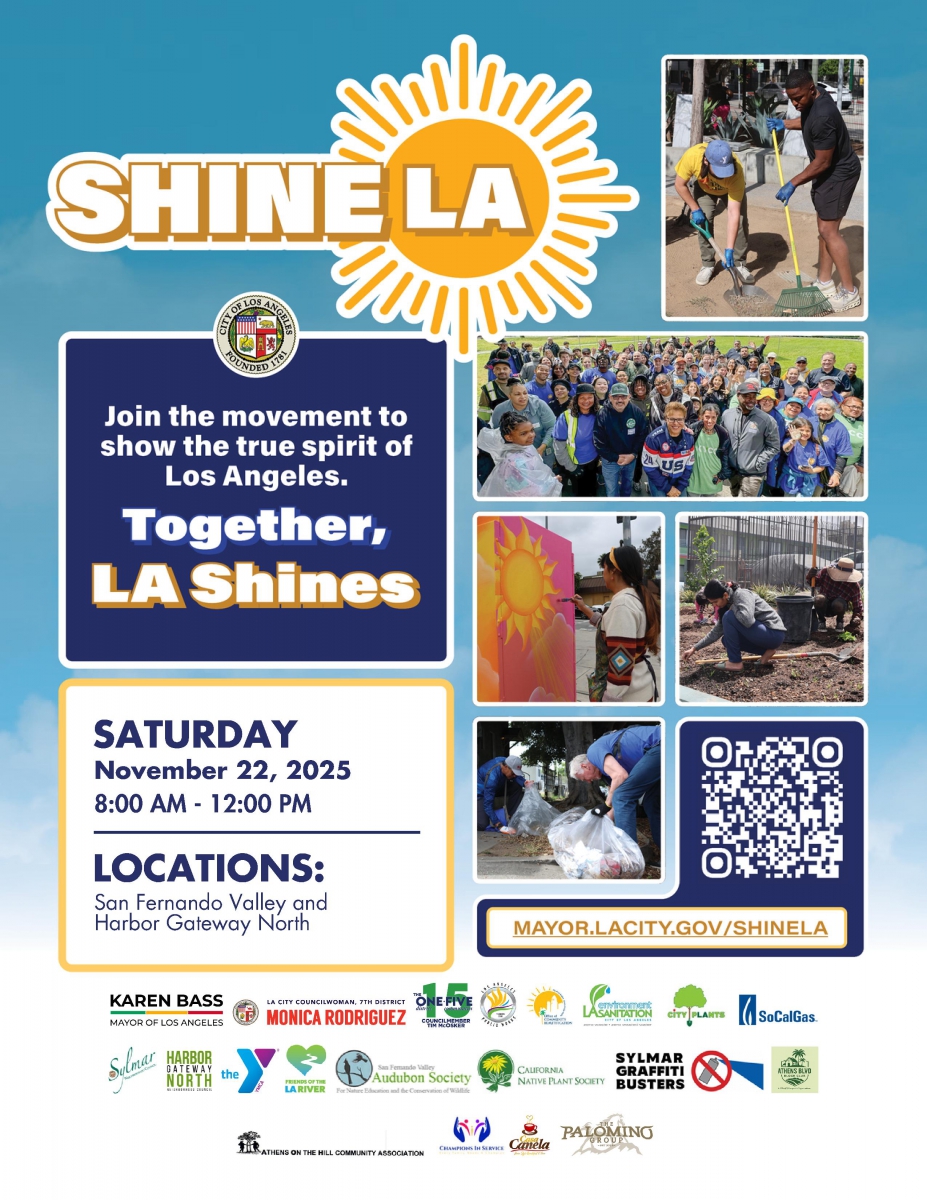 Shine LA 112225