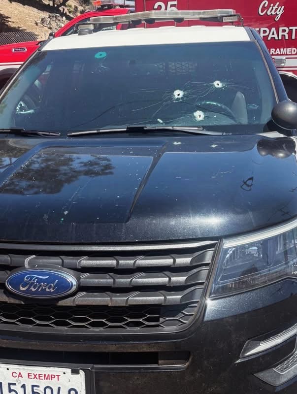 Cop car bullet holes
