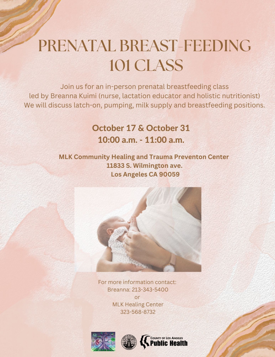 Prenatal Breast-Feeding 101 Class  Los Angeles County District Attorney's  Office