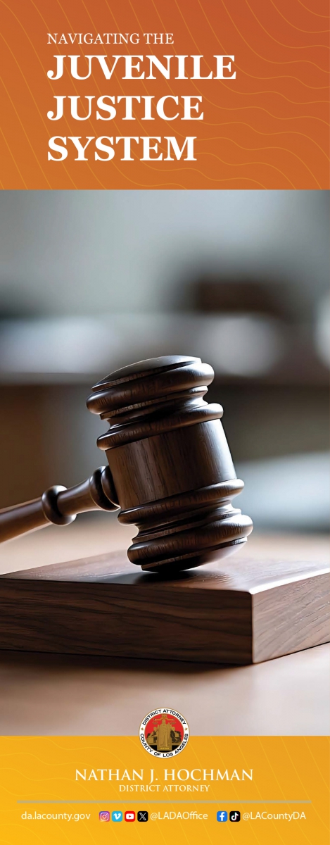 Navigating the Criminal Justice System