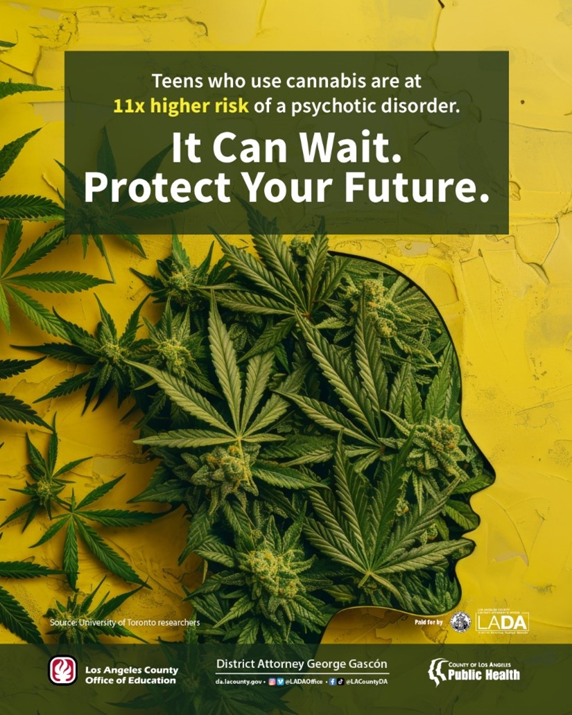 Cannabis Campaign Poster 3