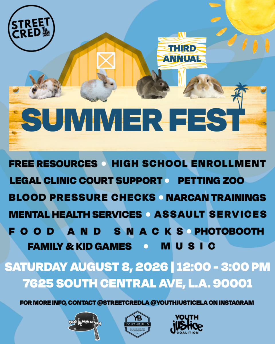 3rd Annual Summer Fest 080826